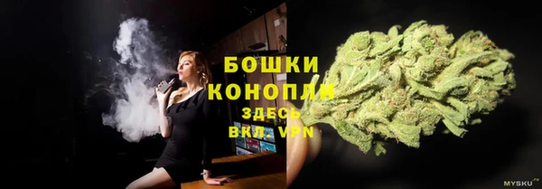 винт Костерёво