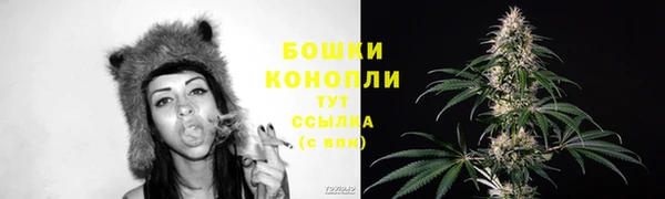 тгк Коряжма