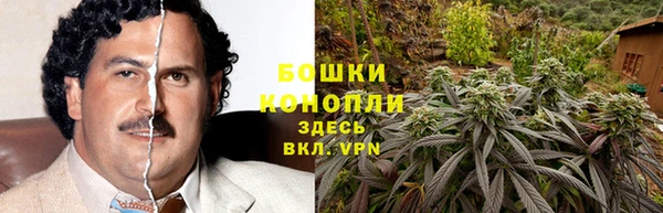 тгк Коряжма