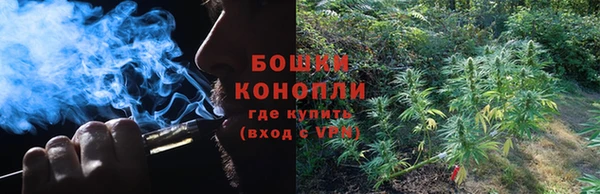 тгк Коряжма