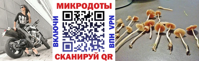 Псилоцибиновые грибы ЛСД  Купить  Завитинск 